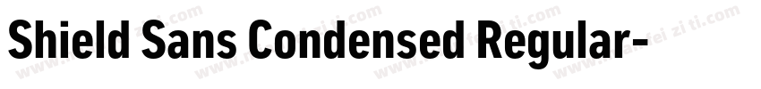 Shield Sans Condensed Regular字体转换